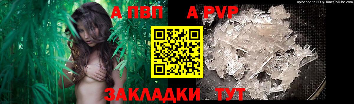 A-PVP СК КРИС Фролово