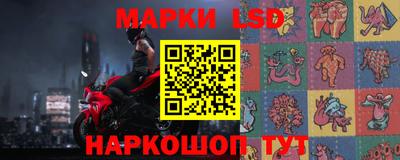 индика Обнинск