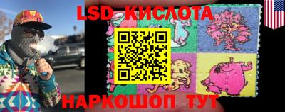 индика Обнинск