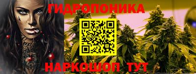 скорость Шелехов