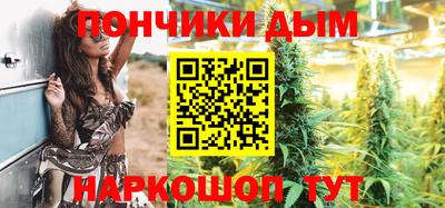 индика Обнинск
