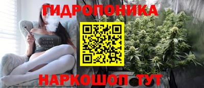 скорость Новозыбков