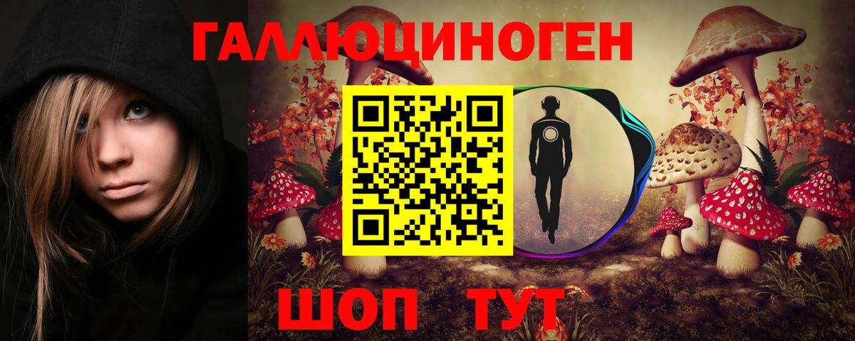Фролово  Псилоцибиновые грибы мицелий  Вход с VPN  Галлюциногенные грибы GOLDEN TEACHER 